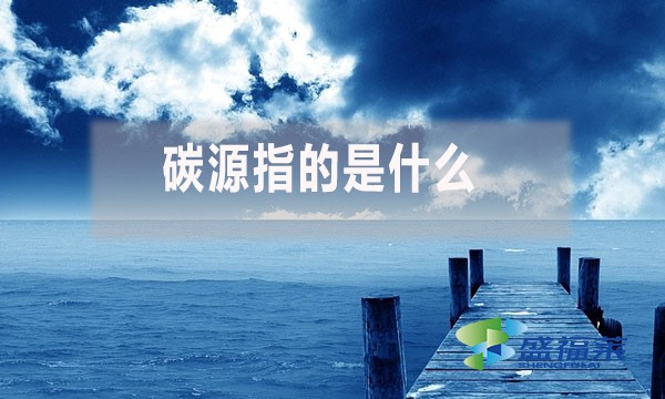碳源指的是什么？