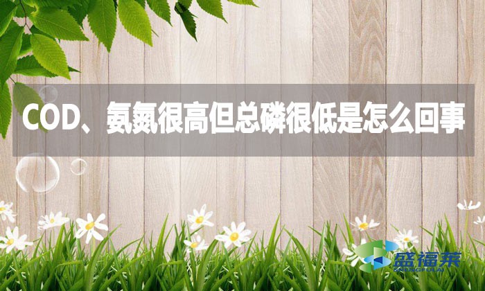 COD、氨氮很高但總磷很低是怎么回事